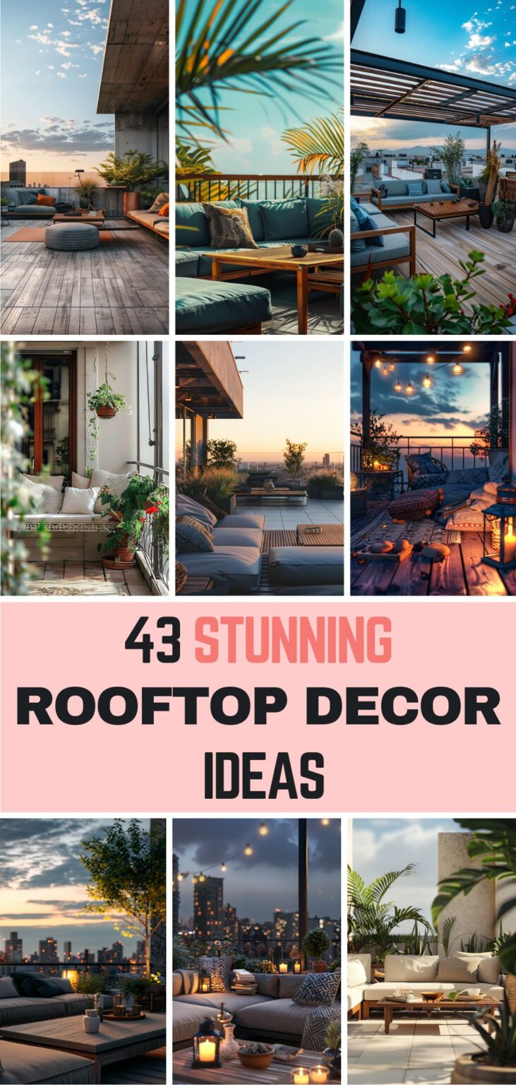 Illustration of Additional Rooftop Features Ideas