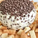 Homemade Chocolate Chip Cheese Ball Recipe photo