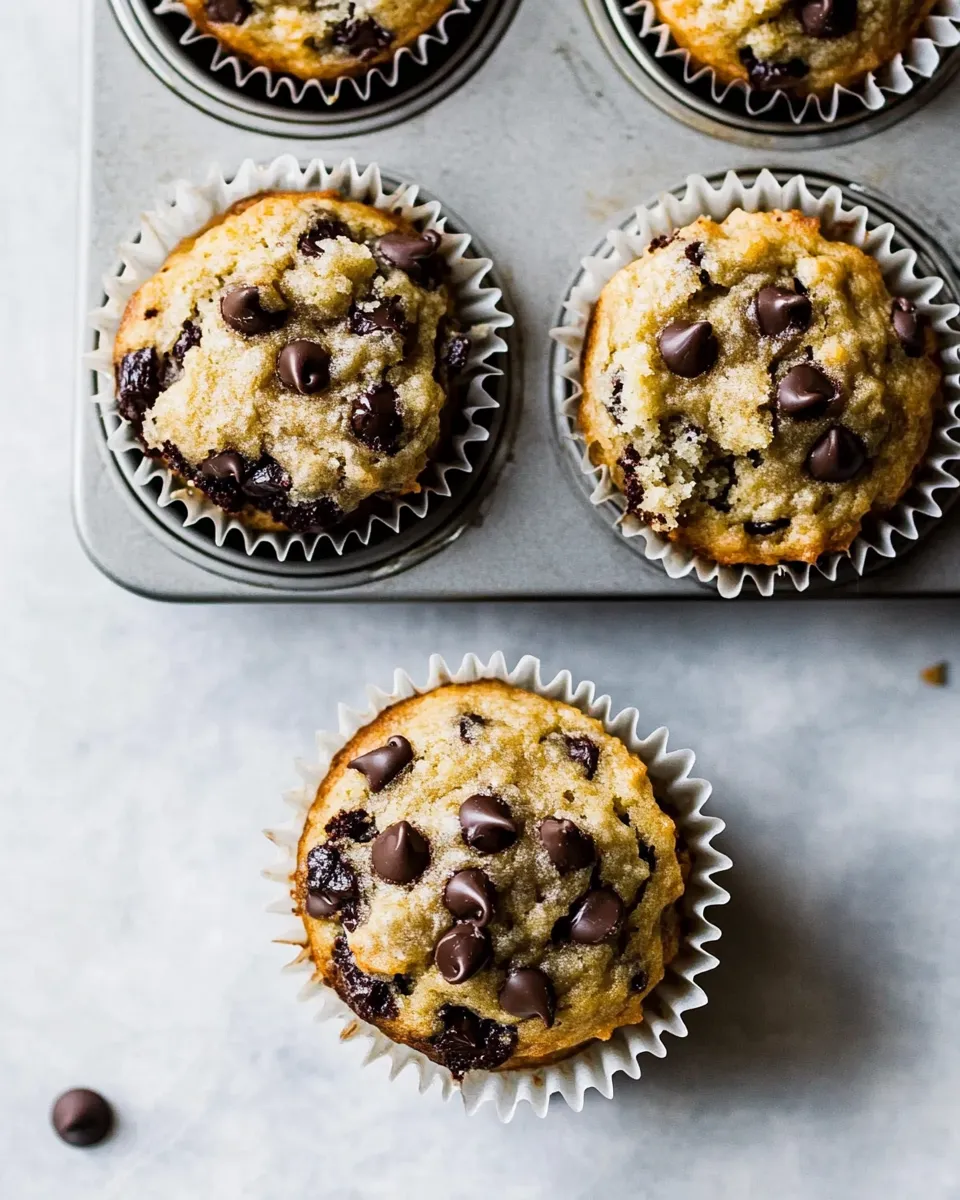 Homemade Chocolate Chip Paleo Vegan Banana Muffins photo