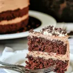 Homemade Chocolate Velvet Cake Recipe photo