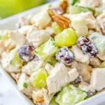 Homemade Classic Waldorf Chicken Salad photo