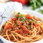 Homemade Italian Style Ground Turkey Spaghetti photo