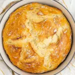 Homemade Molasses No Knead Bread photo