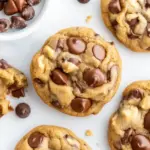 Homemade Vegan Cookies photo