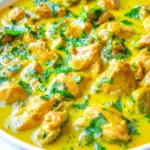Homemade Yellow Chicken Coconut Curry (Chicken Korma) photo